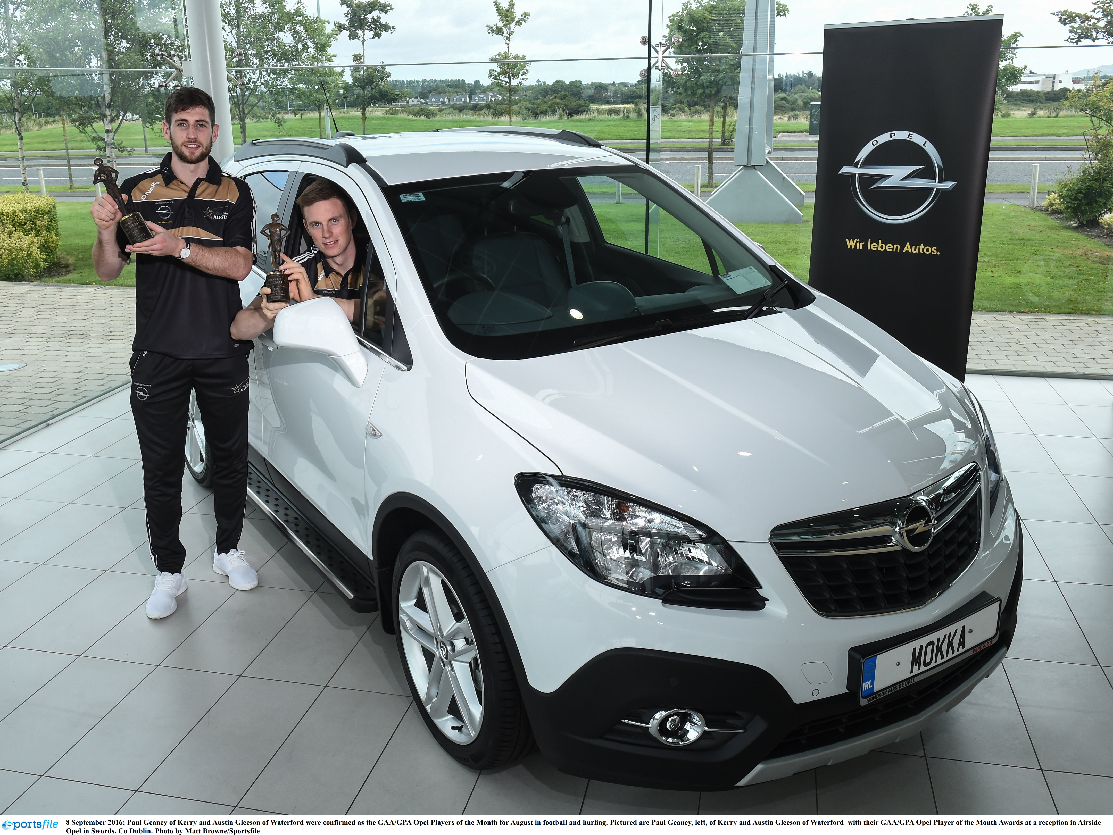 Paul Geaney, Austin Gleeson, GAA/GPA Opel Players of the Month,